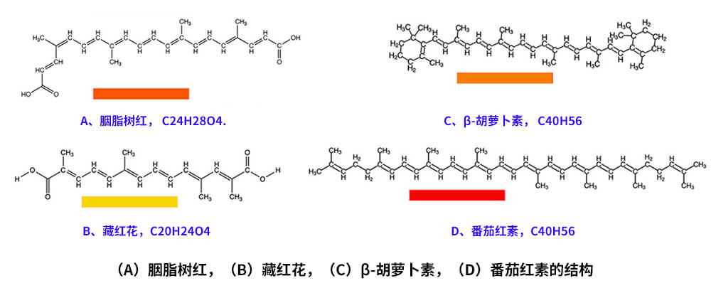 藏紅花、胭脂樹紅、β-胡蘿卜素、番茄紅素的化學(xué)結(jié)構(gòu)
