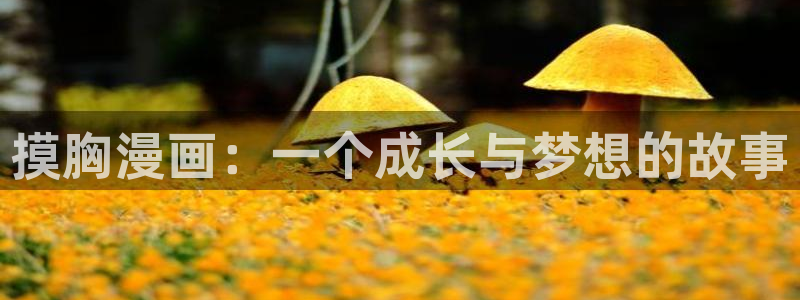 intitle:禁漫天堂